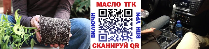 omg ссылка  Коряжма  ТГК Wax 