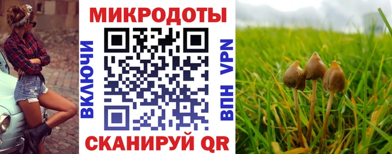 Псилоцибиновые грибы мицелий  Коряжма 