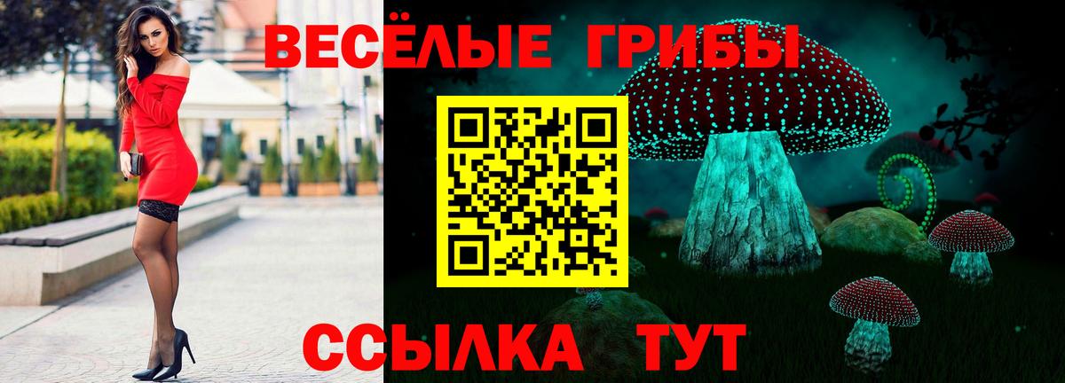 Галлюциногенные грибы мицелий Коряжма